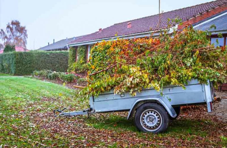 Prix Entretien D'un Jardin | Coût Moyen & Tarif | Guide Mars 2024