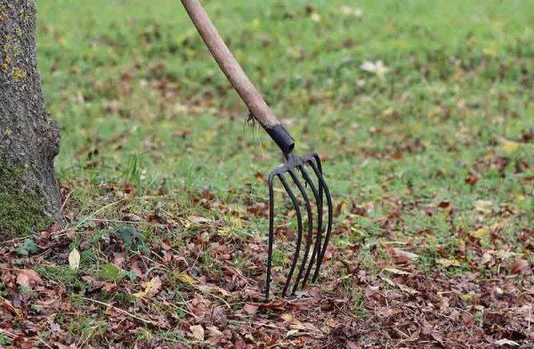 Prix Entretien D'un Jardin | Coût Moyen & Tarif | Guide Mars 2024