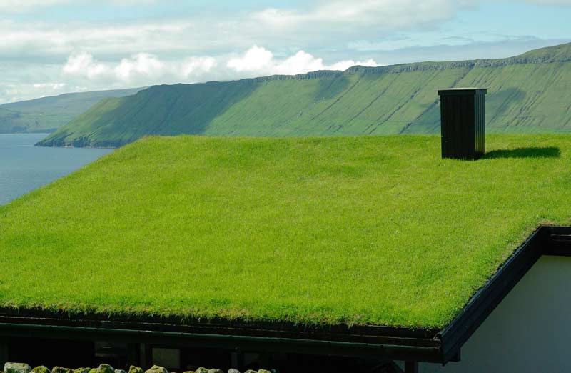 Les avantages et inconvénient de la toiture végétalisée