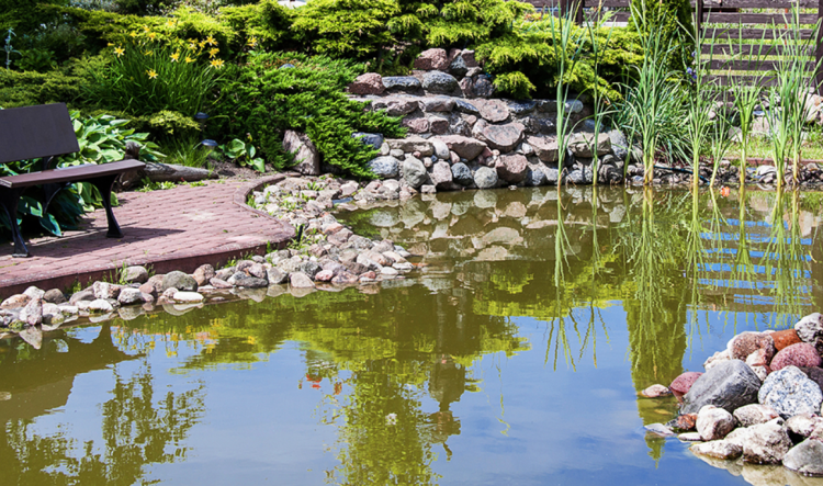 beau bassin de jardin