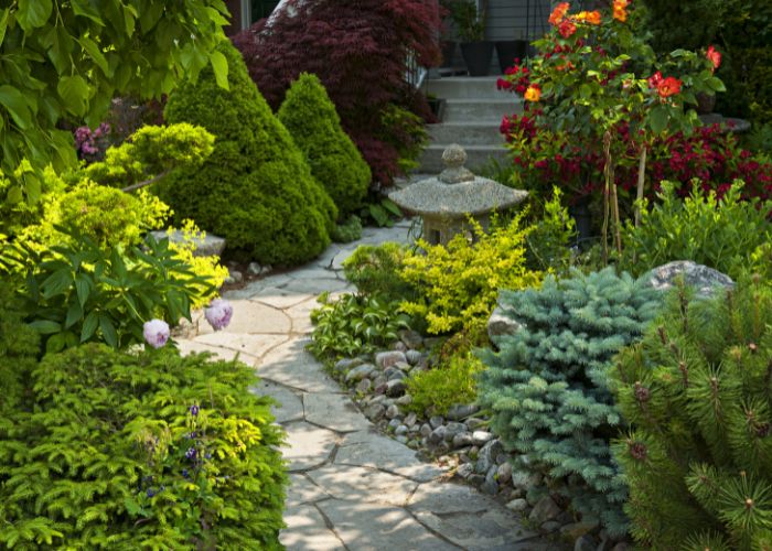 aménagement d'un jardin en 2024