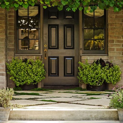 porte d'entrée en bois avec de la verdure