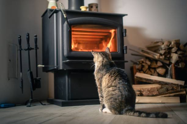 Un chauffage au bois offre une ambiance chaleureuse et une autonomie totale pour une résidence secondaire