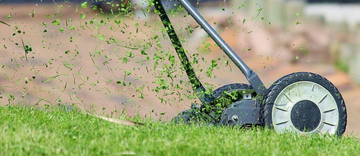 Tondeuse thermique en action sur une pelouse — comparatif Bricomarché et Brico Cash