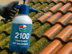 Dalep 2100 : une exploration claire des avantages à découvrir d&rsquo;ici 2025