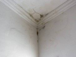 Comment lutter efficacement contre les problèmes d&rsquo;humidité dans votre habitation ?