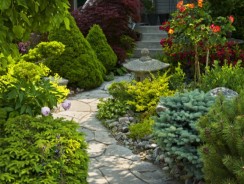 Aménagement de jardin : découvrez les tendances à suivre en 2026
