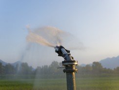 Arrosage automatique connecté : prix et avis