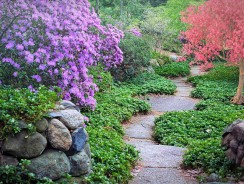 Avantages et inconvénients d&rsquo;un broyeur de branches