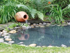 L&rsquo;essentiel à savoir sur le bassin de jardin