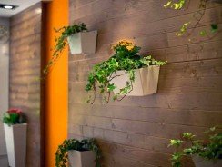 Décoration murale : 6 idées simples pour embellir vos murs