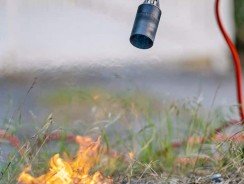 Meilleur désherbeur thermique 2026
