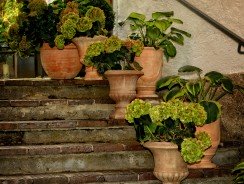 Comment faire un escalier extérieur ? Nos 10 idées