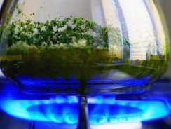 Gaz vert renouvelable, qu’est-ce que c’est ?