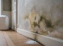 Humidité mur intérieur : causes, traitements et prix 2026