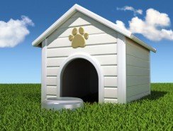 Niches d&rsquo;intérieur pour chien – Confort et design