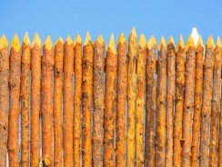 Protégez votre jardin des regards indiscrets : Quel type de palissade choisir
