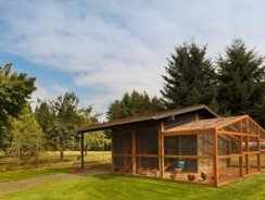 Découvrir le monde fascinant des poulaillers : un guide complet pour les amateurs de volaille