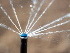 Quel arrosage automatique pour un potager ?