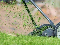Tondeuse thermique : Bricomarché vs Brico Cash, lequel choisir ?
